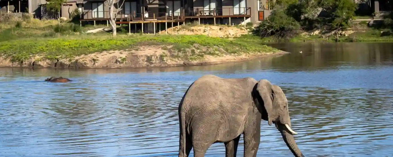 The Kruger Experience-1